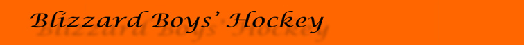 BlizzardBoys'HockeyBanner