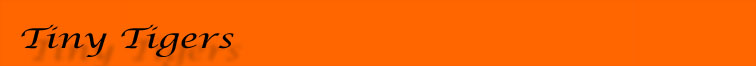 TinyTigersBanner