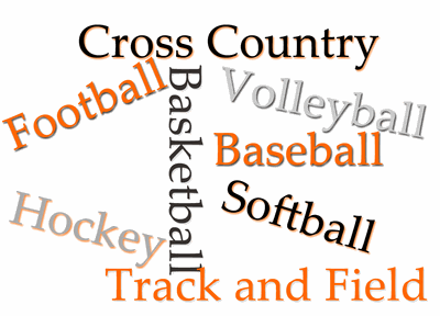 Sports at Webster